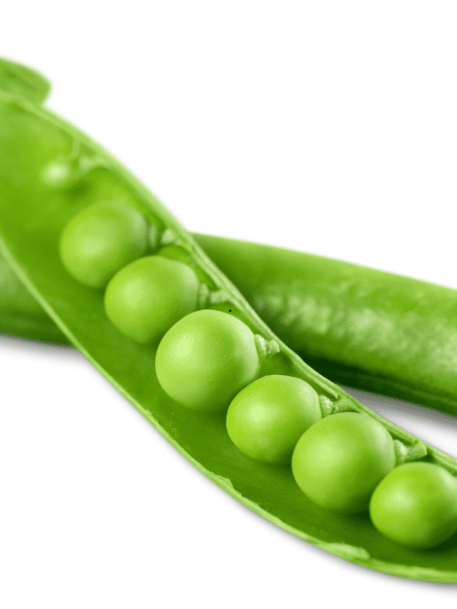 How to Freeze Fresh Green Beans to Enjoy All Year