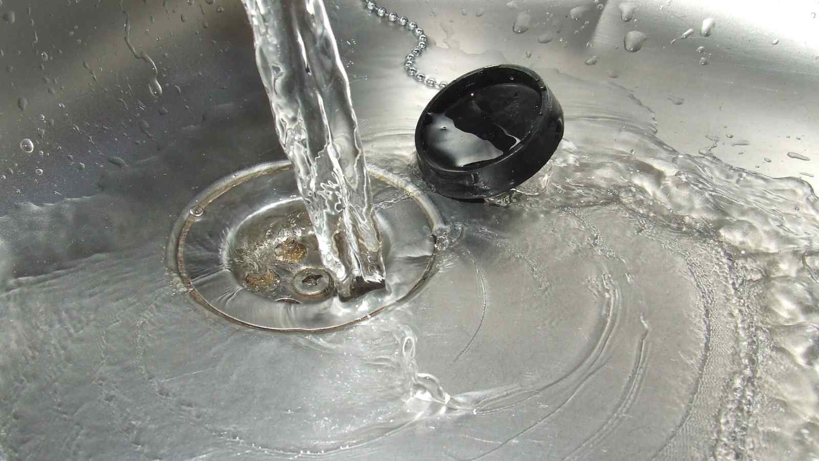 How to Prevent Gnats From Invading Your Space