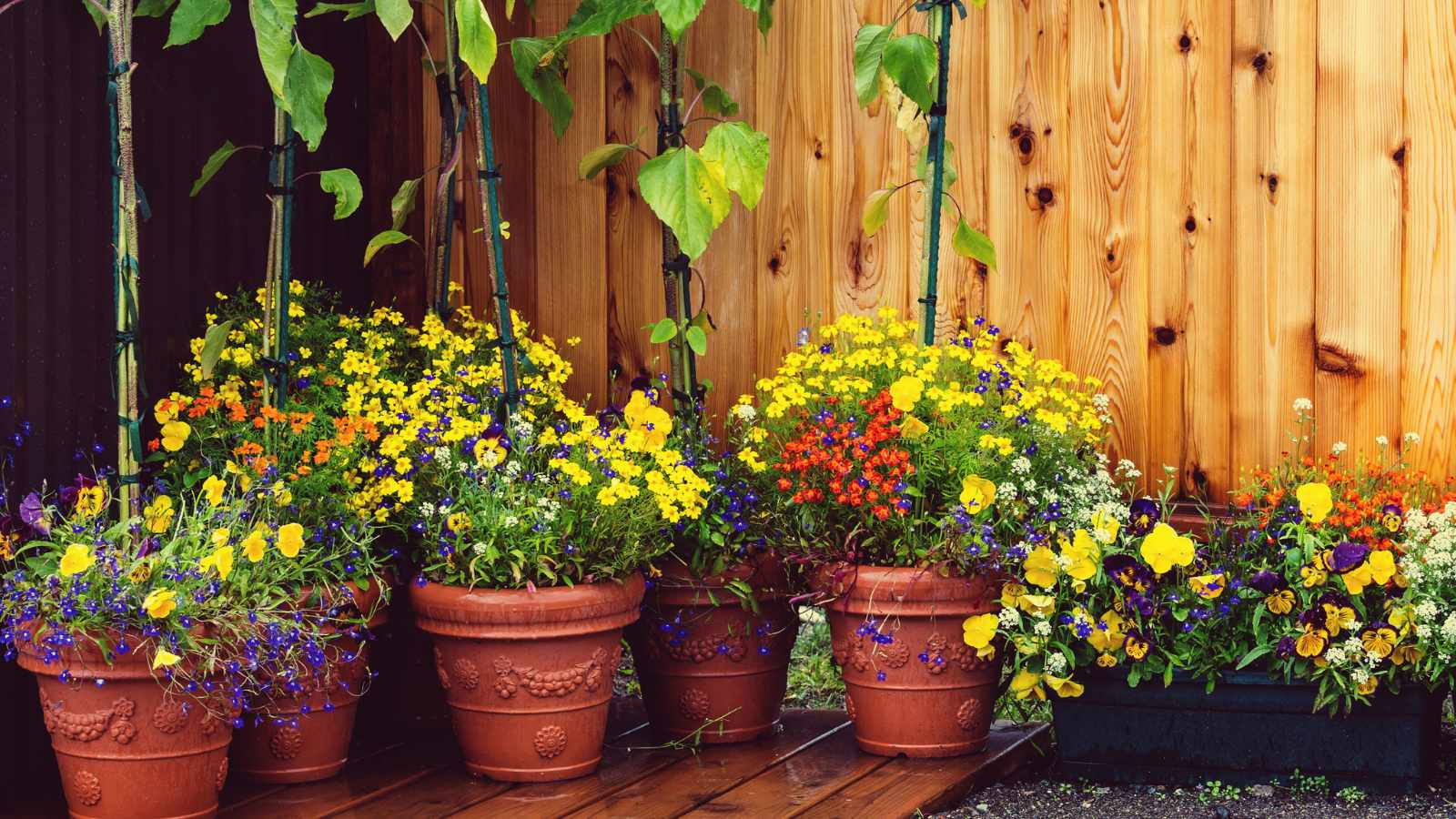 Pack a Punch with High-Impact Containers
