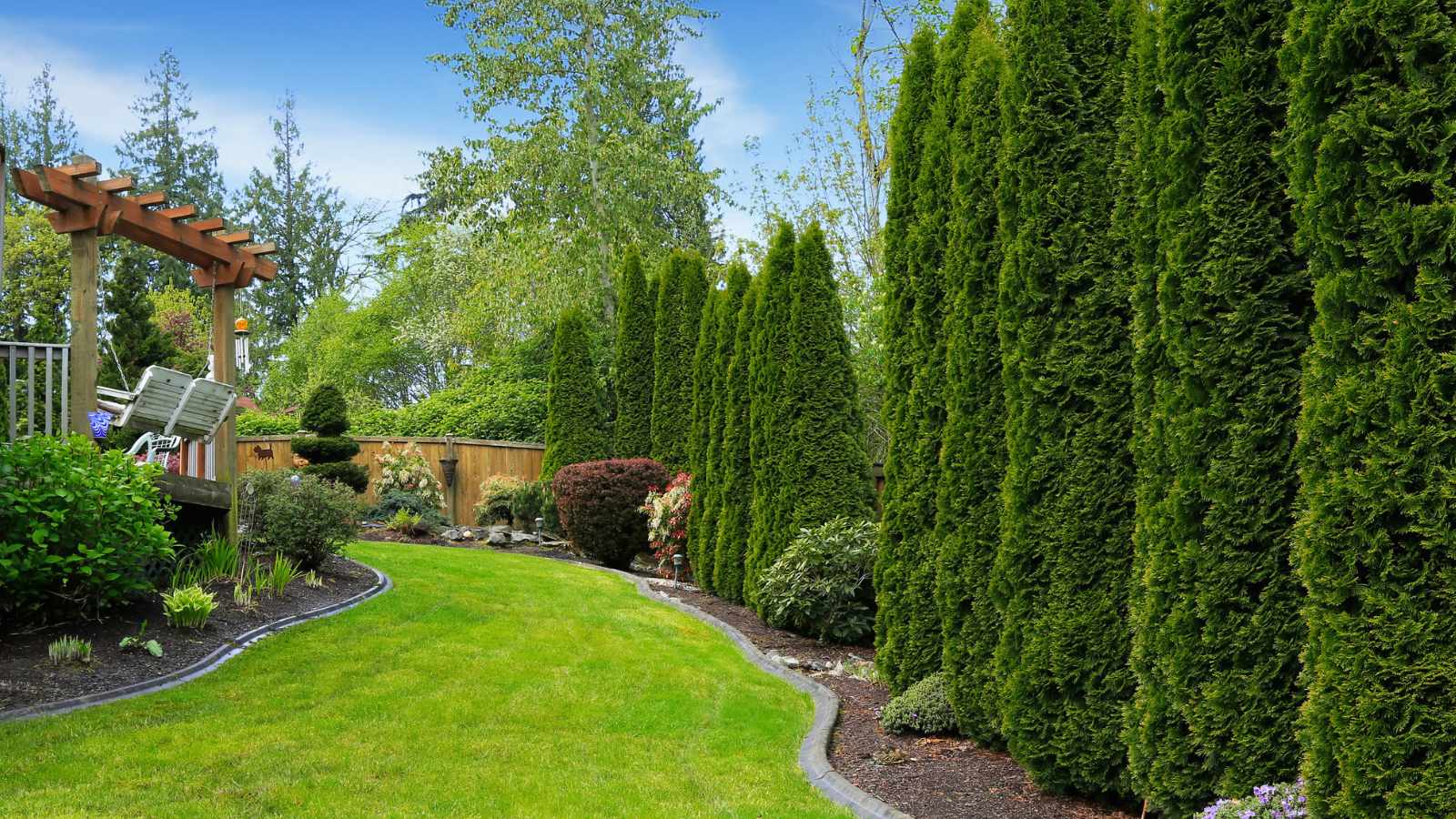 Plant Smart Think Tall & Skinny, Not Short & Wide