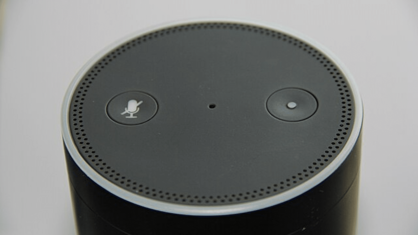 Voice-Controlled Speaker