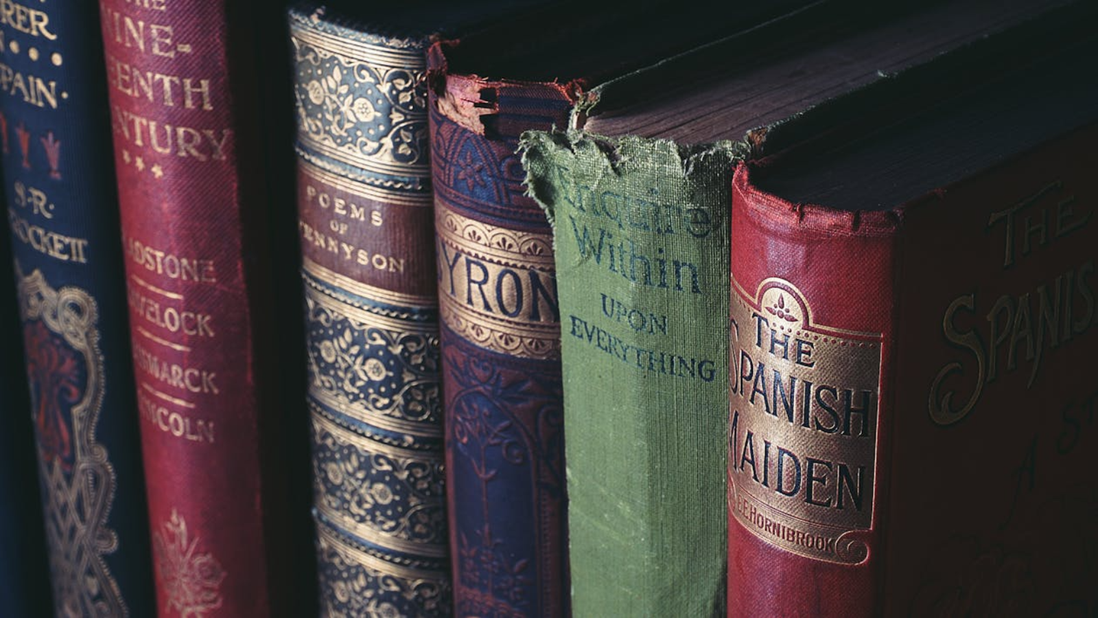 Books That Double as Décor
